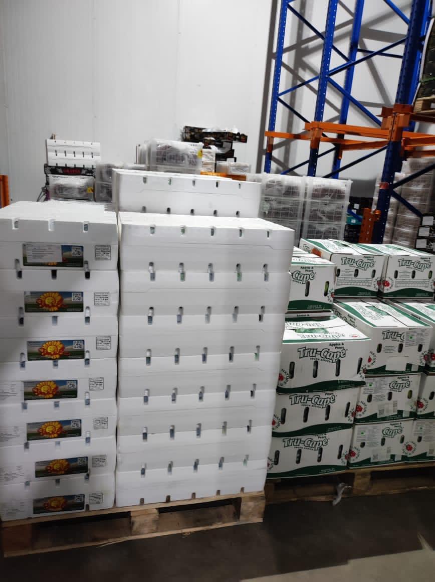 Fresh Produce — Prospect Trading warehouse photo 5